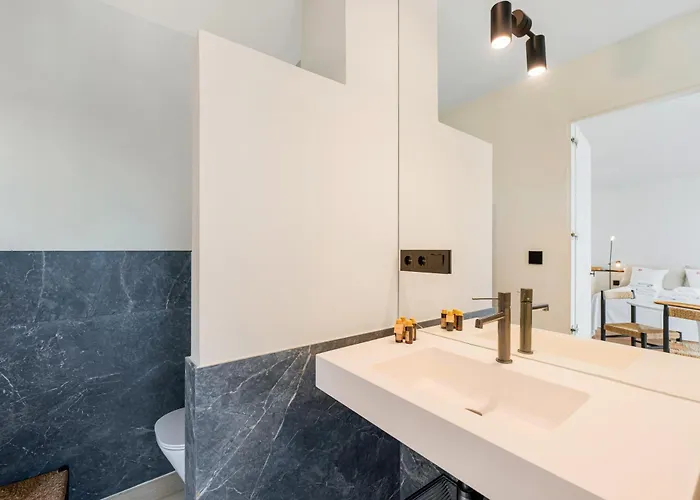 Luminoso Loft Con Piscina En Puerto Banus